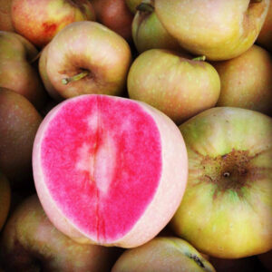 Яблоня Розовый жемчуг в Буинске